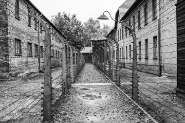 Auschwitz ve Auschwitz-Birkenau, imha kampı.