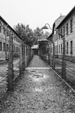 Auschwitz ve Auschwitz-Birkenau, imha kampı.
