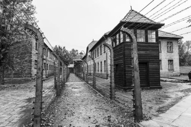 Auschwitz ve Auschwitz-Birkenau, imha kampı.