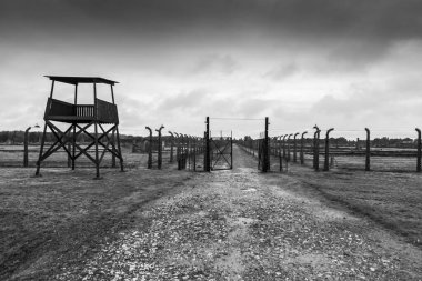 Auschwitz ve Auschwitz-Birkenau, imha kampı.