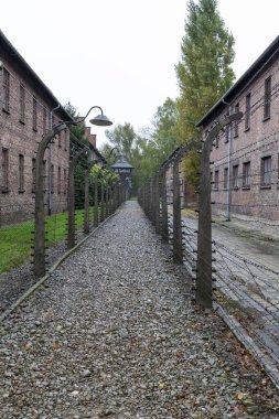 Auschwitz ve Auschwitz-Birkenau, imha kampı.,