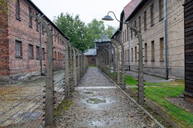 Auschwitz ve Auschwitz-Birkenau, imha kampı.,