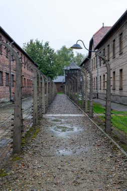 Auschwitz ve Auschwitz-Birkenau, imha kampı.,