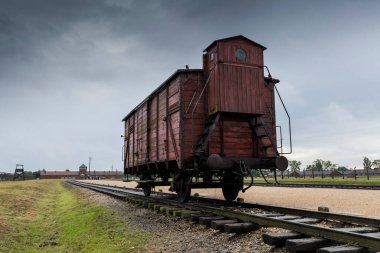 Auschwitz ve Auschwitz-Birkenau, mahkûmları taşımak için sığır vagonu.
