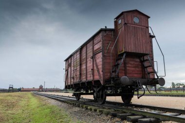 Auschwitz ve Auschwitz-Birkenau, mahkûmları taşımak için sığır vagonu.