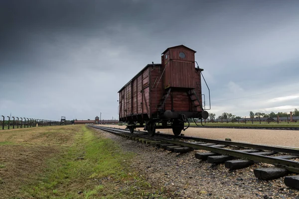 Auschwitz ve Auschwitz-Birkenau, mahkûmları taşımak için sığır vagonu.