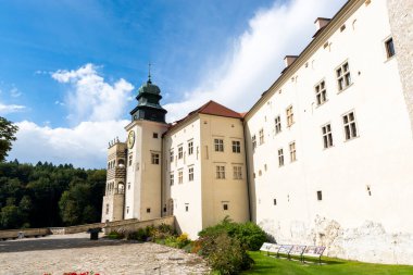 Polonya 'nın Krakow kenti yakınlarındaki kireçtaşı uçurumu Pieskowa Skala, izole kaya 