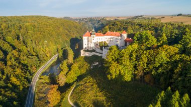 Polonya 'nın Krakow kenti yakınlarındaki kireçtaşı uçurumu Pieskowa Skala, izole kaya 