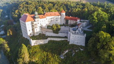 Polonya 'nın Krakow kenti yakınlarındaki kireçtaşı uçurumu Pieskowa Skala, izole kaya 