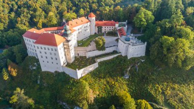 Polonya 'nın Krakow kenti yakınlarındaki kireçtaşı uçurumu Pieskowa Skala, izole kaya 