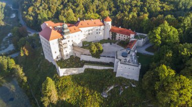Polonya 'nın Krakow kenti yakınlarındaki kireçtaşı uçurumu Pieskowa Skala, izole kaya 