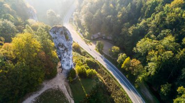 Polonya 'nın Krakow kenti yakınlarındaki kireçtaşı uçurumu Pieskowa Skala, izole kaya 