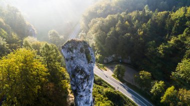 Polonya 'nın Krakow kenti yakınlarındaki kireçtaşı uçurumu Pieskowa Skala, izole kaya 