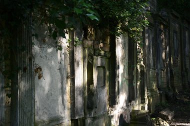 Eski terk edilmiş Yahudi Mezarlığı