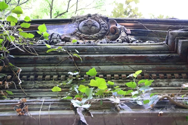 Alter verlassener jüdischer Friedhof — Stockfoto