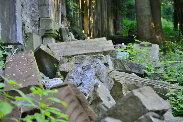 Старі занедбані єврейське кладовище — стокове фото