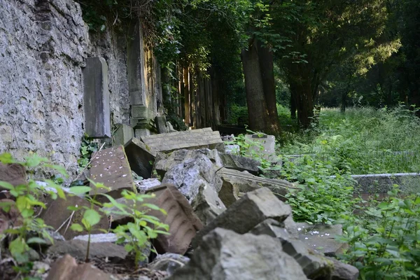 Alter verlassener jüdischer Friedhof — Stockfoto