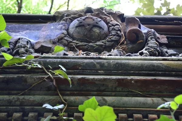 Old abandoned Jewish cemetery — Stock Photo, Image