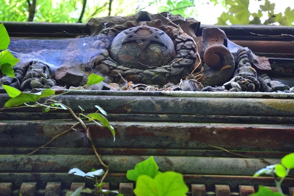 Old abandoned Jewish cemetery — Stock Photo, Image