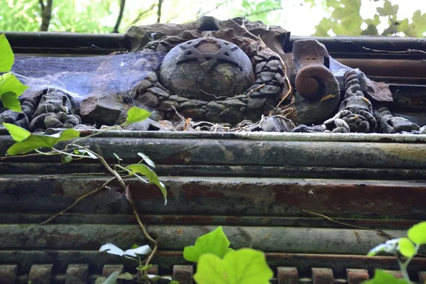 Old abandoned Jewish cemetery — Stock Photo, Image