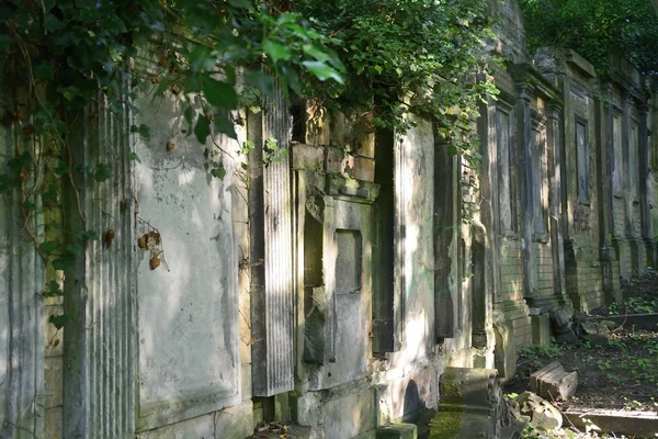 Alter verlassener jüdischer Friedhof — Stockfoto