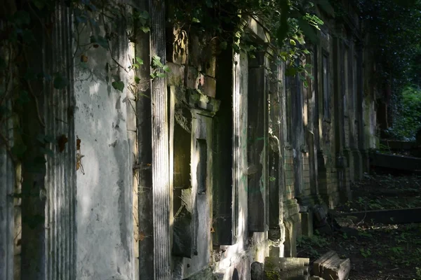 Old abandoned Jewish cemetery — Stock Photo, Image