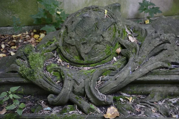 Old abandoned Jewish cemetery — Stock Photo, Image