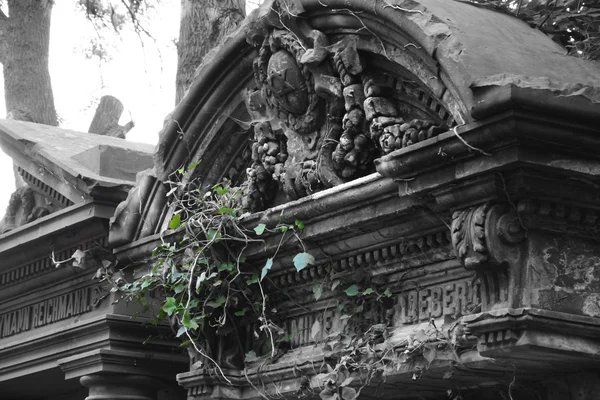 Old abandoned Jewish cemetery — Stock Photo, Image