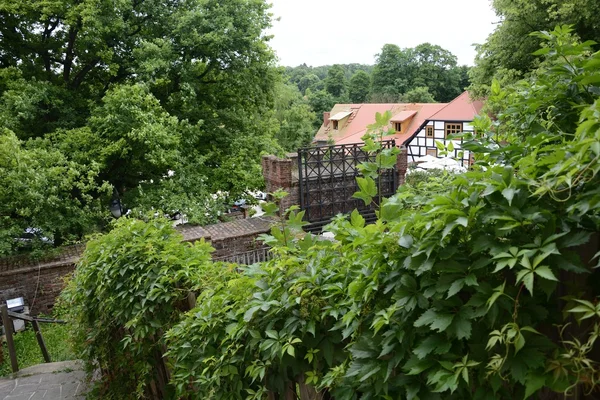 Perle der Erde lubusz lagow - Landschaften des Turms — Stockfoto