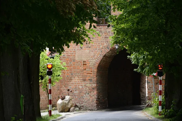 Monument, parker, sjöar, pearl Lubusz Lagow — Stockfoto