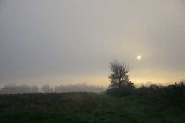 Şehir - kırsal manzara dışında
