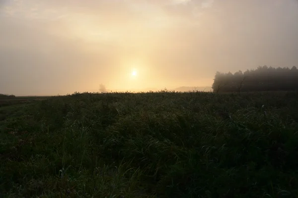 Hors de la ville - paysage rural — Photo