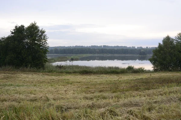 Buiten de stad - landschap — Stockfoto