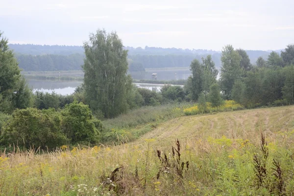 Buiten de stad - landschap — Stockfoto