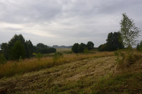 Outside the city - rural landscape — Stock Photo, Image