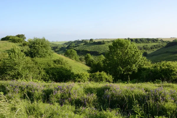 Outside the city - rural landscape — Stock Photo, Image