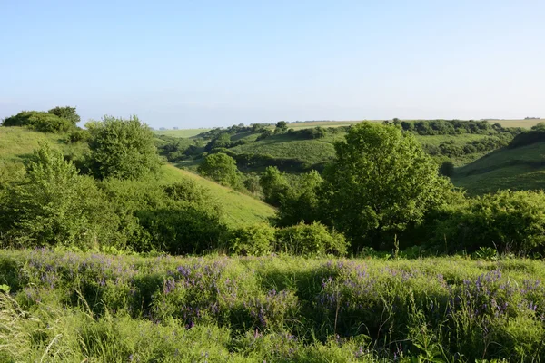 Outside the city - rural landscape — Stock Photo, Image