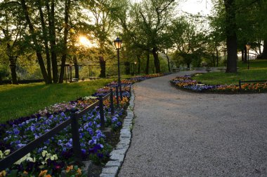 Polonya yemyeşil parklar