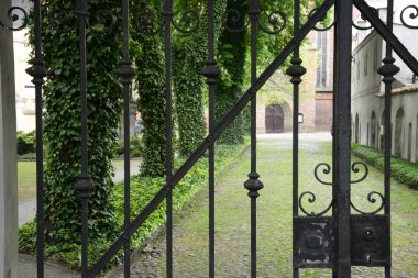 Polonya yemyeşil parklar