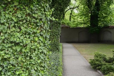 Polonya yemyeşil parklar