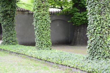 Polonya yemyeşil parklar