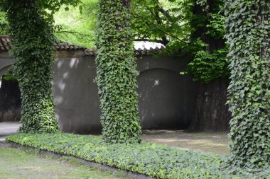 Polonya yemyeşil parklar