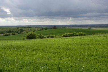 -Kırsal manzara - şehir dışında fiel üzerinde eski bir yel değirmeni