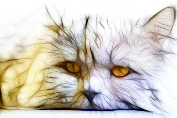 Fraktal kedi illüstrasyon