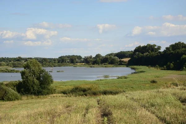 Außerhalb der Stadt - ländliche Landschaft - ein Feld — Stockfoto