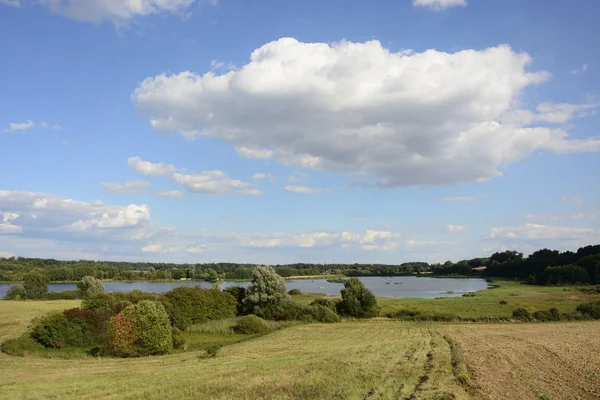 Fuera de la ciudad - paisaje rural - un campo — Foto de Stock