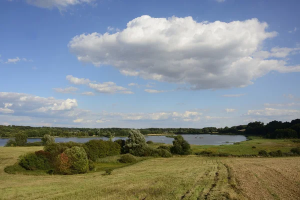 Fora da cidade - paisagem rural - um campo — Fotografia de Stock