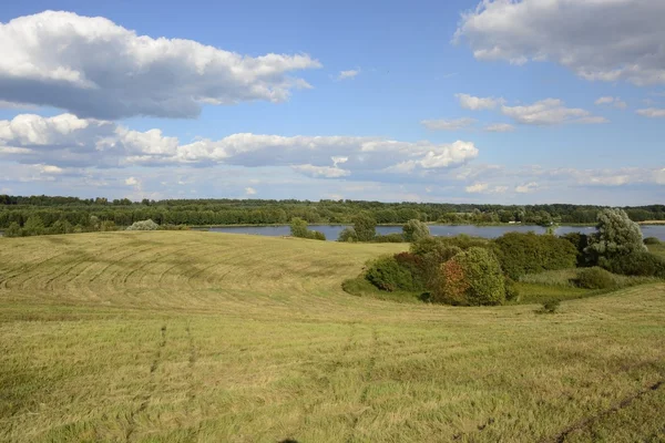 Outside the city - rural landscape - a field — Stock Photo, Image