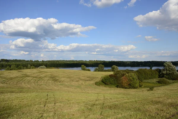 Outside the city - rural landscape - a field — Stock Photo, Image