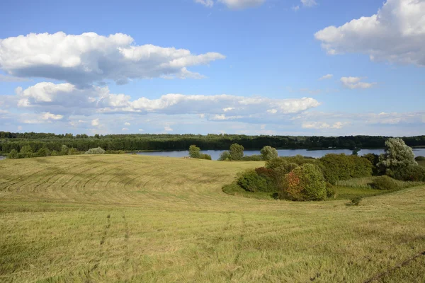 Fora da cidade - paisagem rural - um campo — Fotografia de Stock